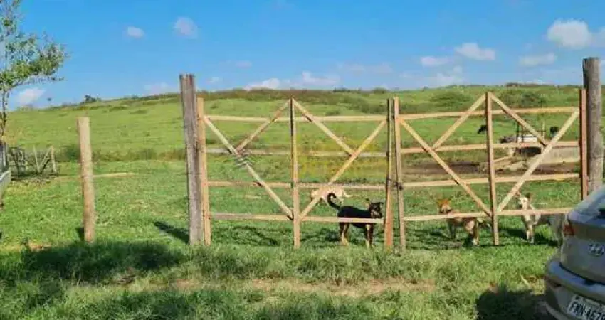 Casa com 3 quartos para alugar no Borba, Pindamonhangaba 