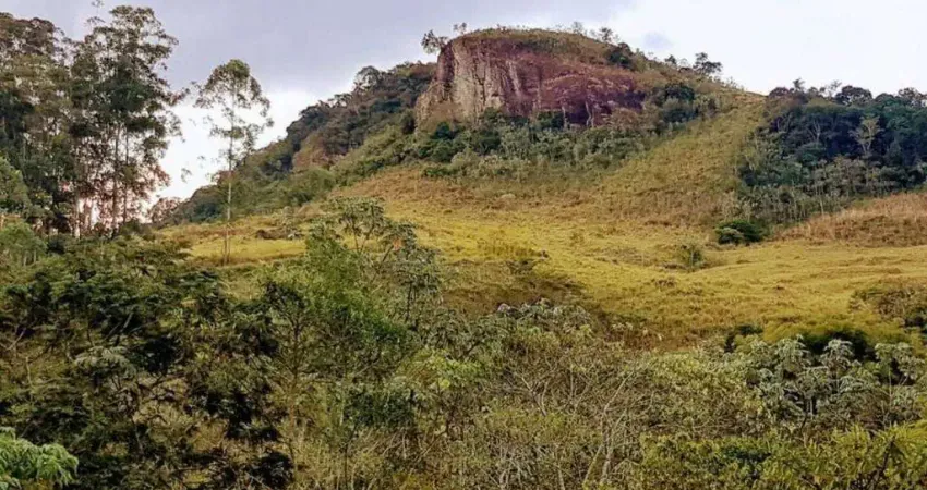 Sítio à venda, 107776 m² por r$ 799.000,00 - pinga - pindamonhangaba/sp