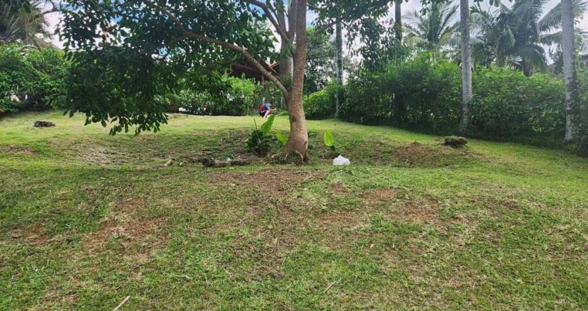 Chácara / sítio à venda na Rua Não Informado, 10, Sul do Rio, Santo Amaro da Imperatriz