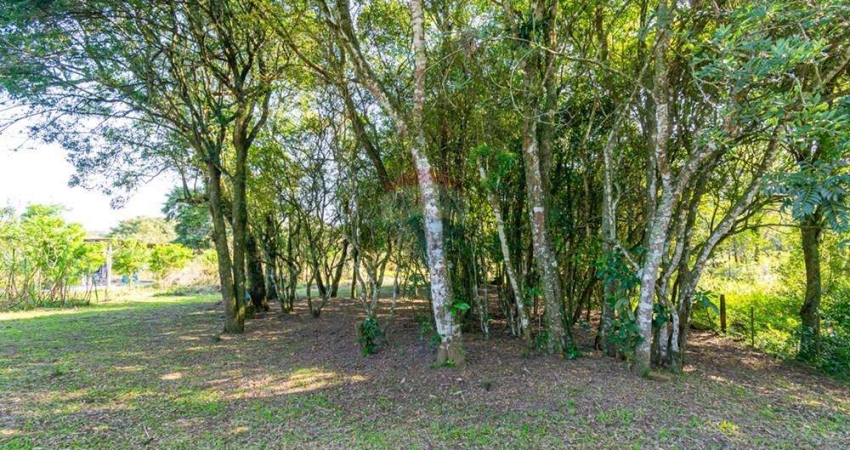 Terreno à venda na Rua Porto Alegre, 1111, Mato Alto, Gravataí
