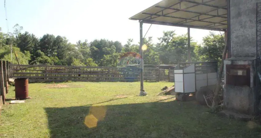 Barracão / Galpão / Depósito à venda na Rua Amélia Schemes, 493, Águas Mortas, Gravataí