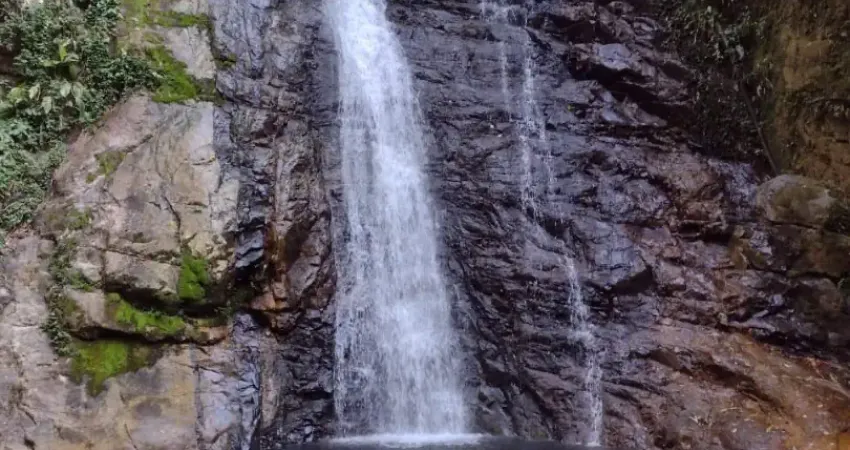 Chácara / sítio à venda na Avenida Vinte e Nove de Abril, Pedra Branca do Araraquara, Guaratuba