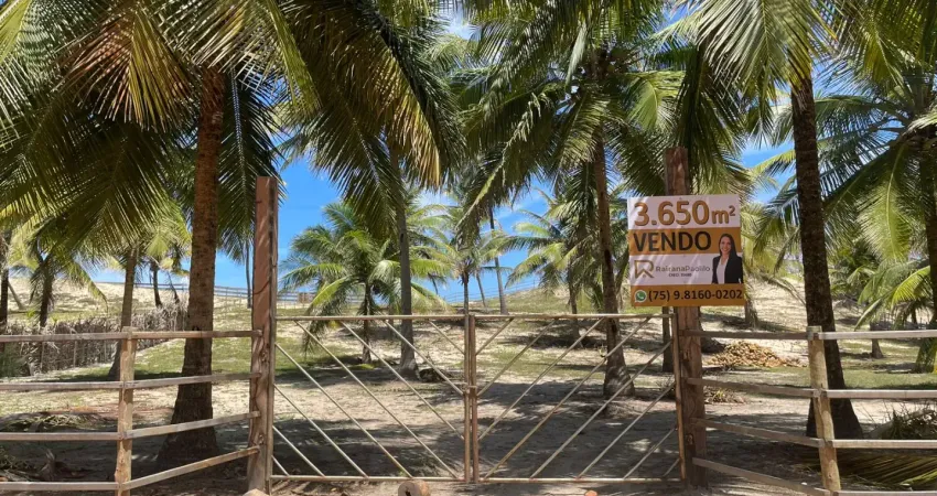 Terreno de 3.650 metros quadrado, a venda Poças/Siribinha, Conde/Ba