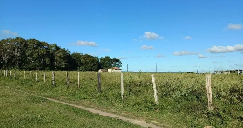 Fazenda com 3 salas à venda na Rua Santa Maria Eterna, 15, Santa Maria Eterna, Belmonte