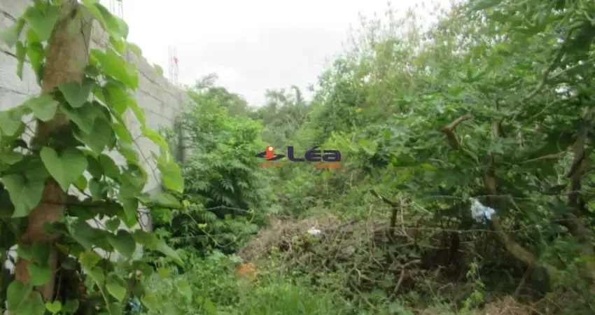 Terreno à venda em Poá-SP, Vila Amélia, 125m² de área! Aproveite essa oportunidade!