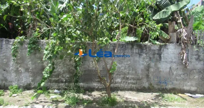 Terreno à venda em Suzano-SP, Parque Residencial Casa Branca - 264,00 m² de área!