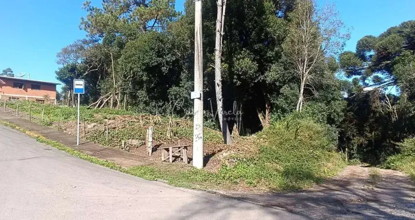 Apartamento à venda na Rua Jose Constant Lazarri, Cidade Nova, Caxias do Sul