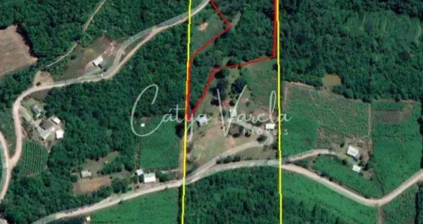 COMPRE NA CÁTYA VARELA IMÓVEIS:  TERRENO C0M 02 HECTARES ESTRADA ASFALTADA - MATO  PERSO - FLORES DA CUNHA   REF: 282