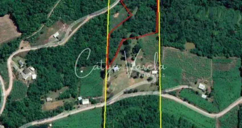 Compre na cátya varela imóveis: terreno c0m 02 hectares estrada asfaltada - mato perso - flores da cunha ref: 282