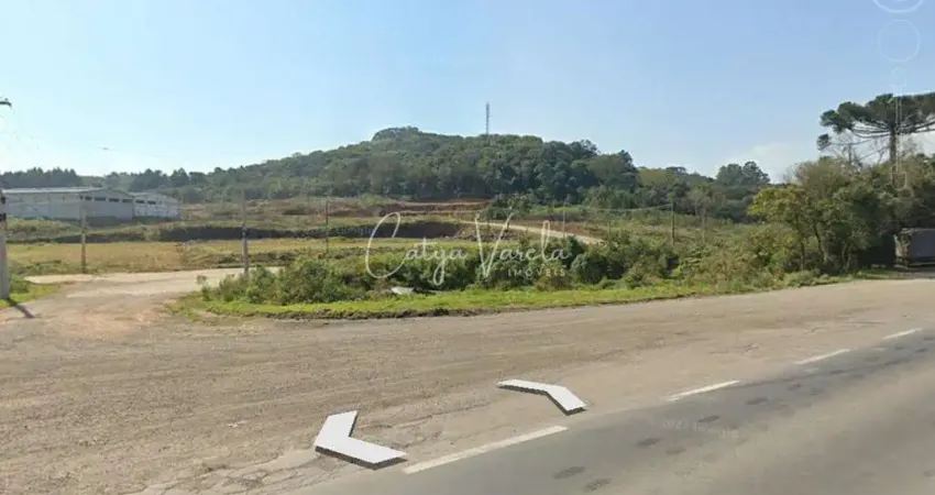 Terreno à venda na Rodovia RS-453, Bela Vista, Farroupilha
