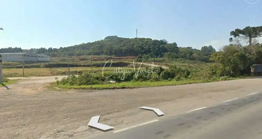 Terreno à venda na Rodovia RS-453, S/N, Bela Vista, Farroupilha