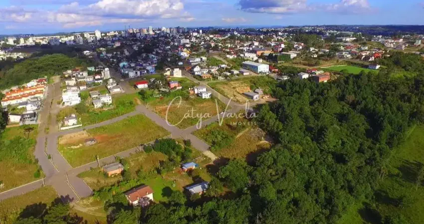 Terreno à venda na Rua Horácio Madalosso, Vicentina, Farroupilha