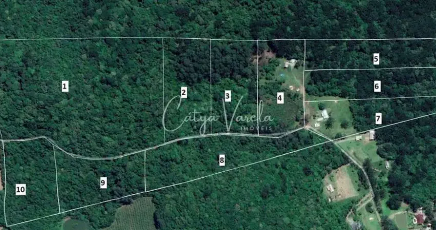Chácara / sítio à venda na São Roque, Fazenda Souza, Caxias do Sul