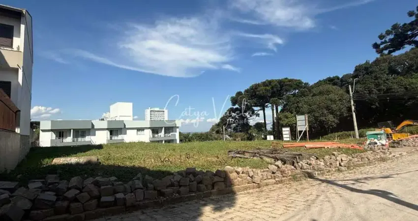 Terreno à venda na Rua Cesário Alvim, 13, Petrópolis, Caxias do Sul