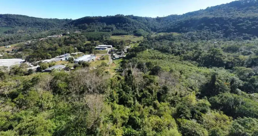 Terreno à venda na Rodovia ERS-115, Várzea Grande, Gramado