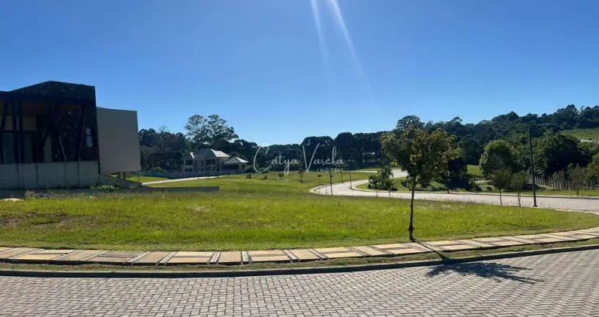 Terreno em condomínio fechado à venda na Estrada Bento Osvaldo Trisch, Pedancino, Caxias do Sul