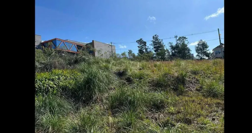Terreno à venda na Rua Julia De Carli Paglioli, 000, São Luiz, Caxias do Sul