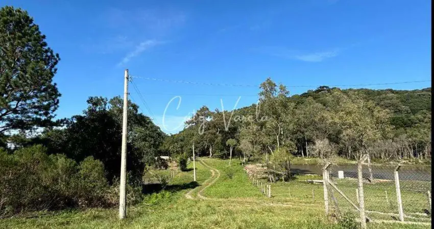Chácara / sítio à venda na São Roque, Fazenda Souza, Caxias do Sul