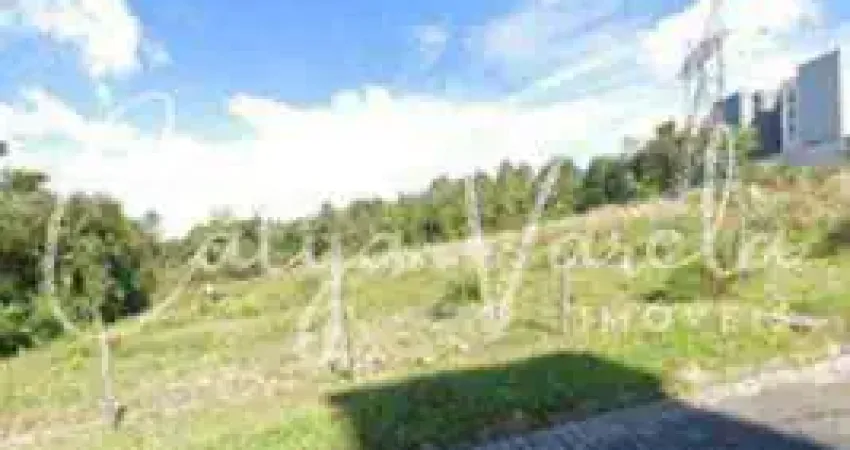 Terreno à venda na Rua Travessão Diamantina, Lote n°7, Diamantino, Caxias do Sul