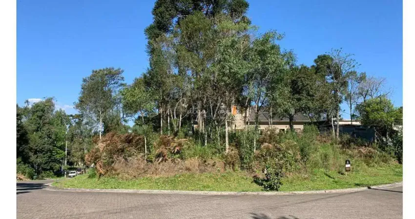 Terreno à venda na Rua Arthur Renheimer, Carniel, Gramado