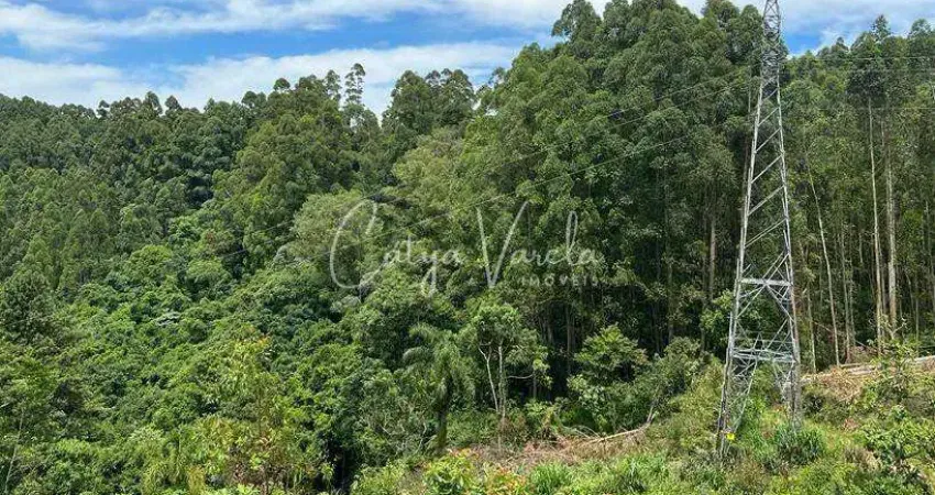 Terreno à venda na Rua Júlio de Castilhos, 100, Centro, Farroupilha