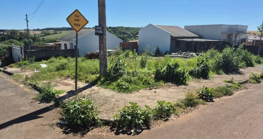 Terreno à venda na Avenida Cruzeiro do Sul, Integração, Passo Fundo