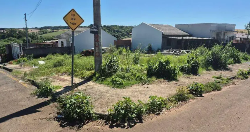 Terreno à venda na Avenida Cruzeiro do Sul, SN, Integração, Passo Fundo