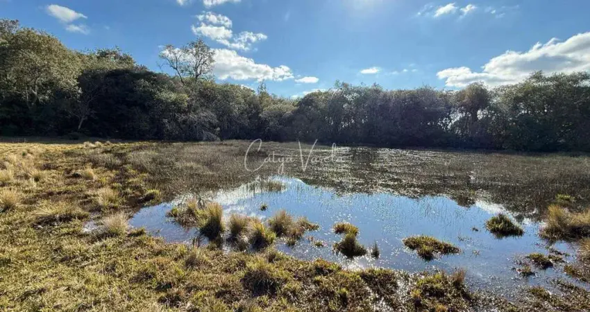 Fazenda à venda na Fazenda de ilheus, Criúva, Caxias do Sul