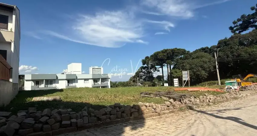 Apartamento à venda na Rua Cesário Alvim, 13, Petrópolis, Caxias do Sul