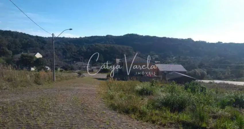 Terreno à venda na Rua Angelo Demoliner Sobrinho, -, Jardim Eldorado, Caxias do Sul