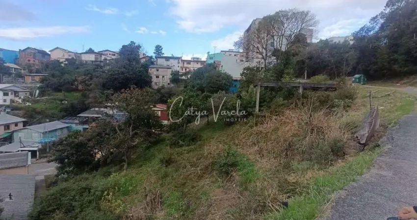 Apartamento à venda na Rua Monsenhor Compagnoni, 17, Universitário, Caxias do Sul