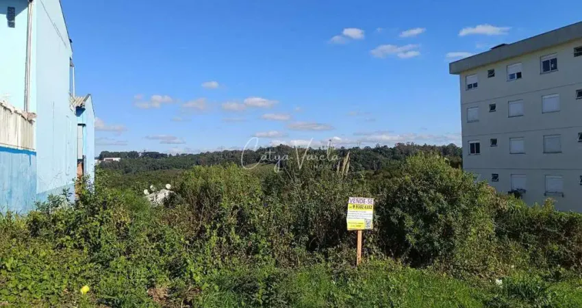 Terreno à venda na Rua Jose Constant Lazarri, Lote, Cidade Nova, Caxias do Sul