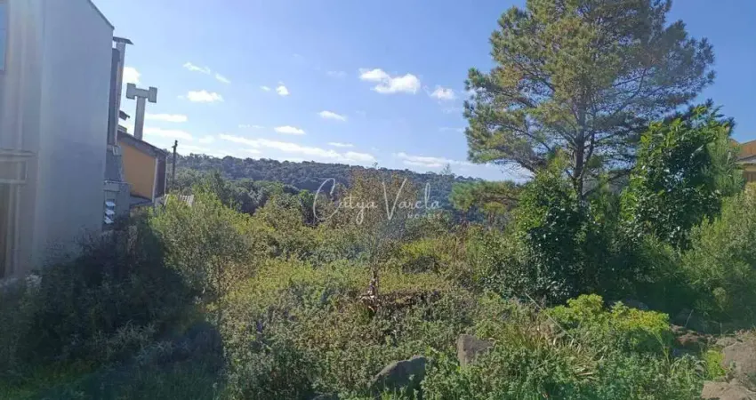 Terreno à venda na Rua Jose Constant Lazarri, Lote, Cidade Nova, Caxias do Sul