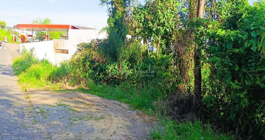 Terreno comercial à venda na Rua Bortolo Grendene, 123, Imigrante, Farroupilha