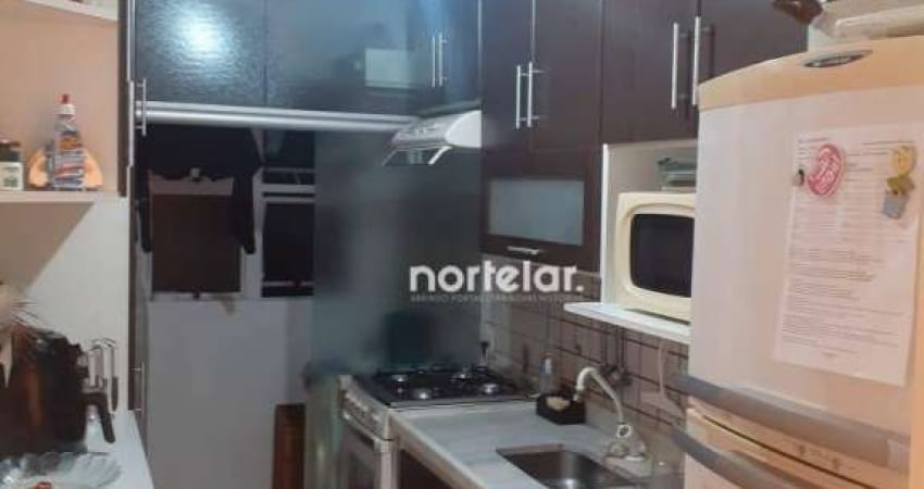 Apartamento com 3 dormitórios à venda, 64 m² por R$ 560.000,00 - Parque São Domingos - São Paulo/SP