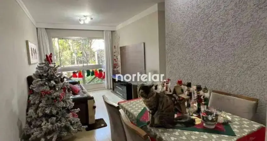 Apartamento com 3 dormitórios à venda, 67 m² por R$ 490.000,00 - Vila Nova Cachoeirinha - São Paulo/SP