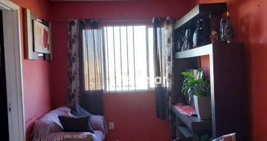Apartamento à venda, 43 m² por R$ 360.000,00 - Brasilândia - São Paulo/SP