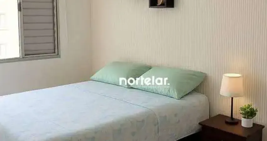 Apto de 3 Quartos   em Pirituba