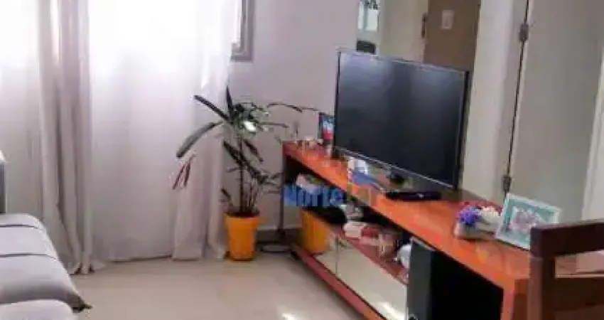 Apartamento com 2 quartos à venda, 49 m² - Vila Jaraguá - São Paulo/SP