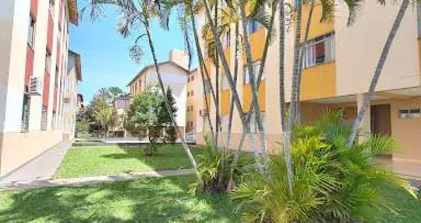 Apartamento com 3 quartos para alugar na Rua Solimões, 60, Jardim Agari, Londrina