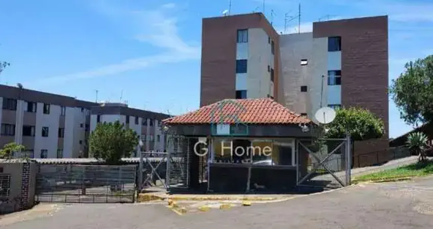 Apartamento com 3 quartos para alugar na Rua Leontina da Conceição Gaion, 100, Ernani Moura Lima, Londrina