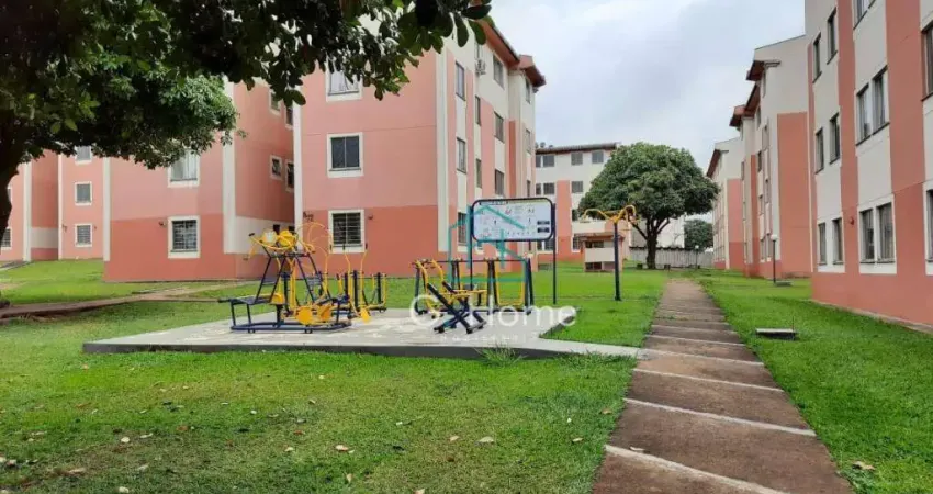 Apartamento com 3 dormitórios à venda, 58 m² por r$ 213.000,00 - coliseu - londrina/pr