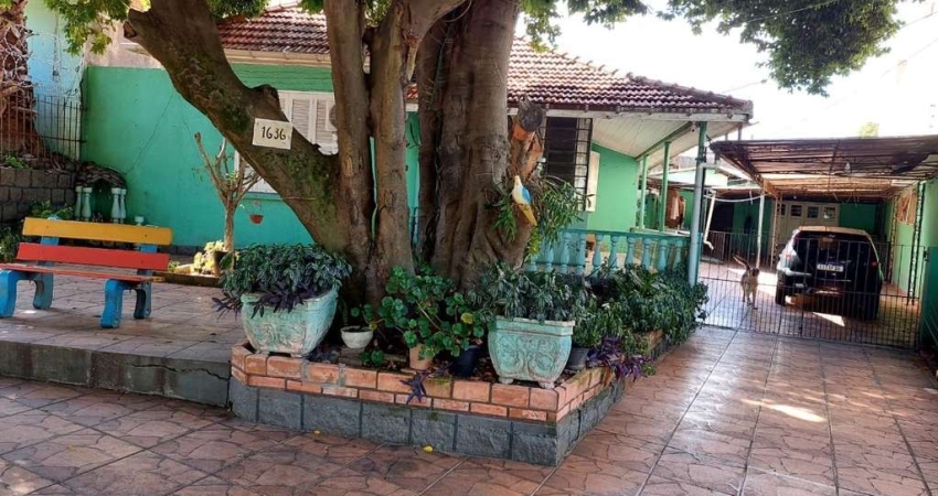 TERRENÃO COM CASA ANTIGA NA CAMPOS VELHO
