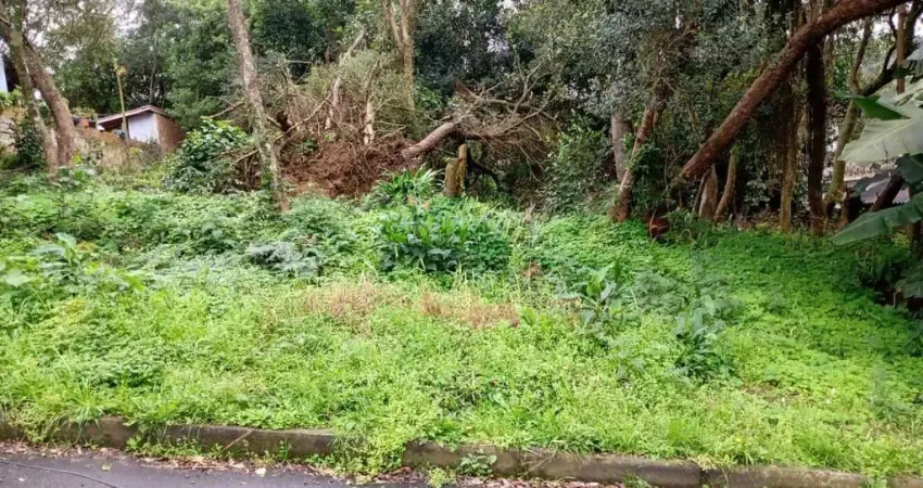 Terreno à venda na Beco Serrito, 134, Vila Nova, Porto Alegre