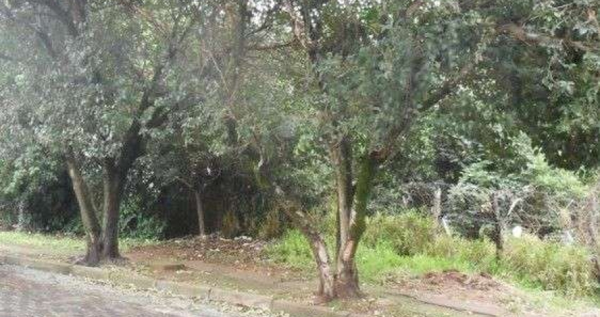 Terreno à venda, 1200 m² por R$ 556.000,00 - Vila Conceição - Porto Alegre/RS