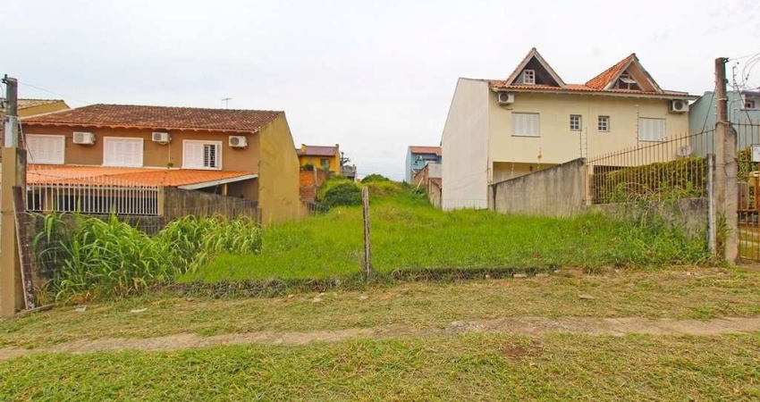 Terreno à venda, 339 m² por R$ 229.000,00 - Protásio Alves - Porto Alegre/RS