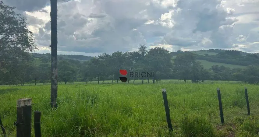 Venda de Sítio em brodowski/sp – Um Paraíso de 6.000 mil Hectares