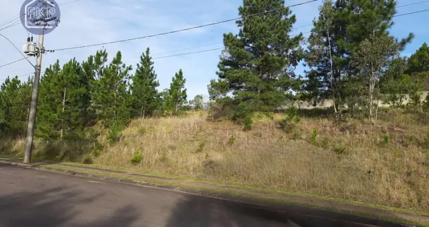 Terreno em condomínio fechado à venda na Avenida Liberdade, 3500, Santa Isabel, Viamão