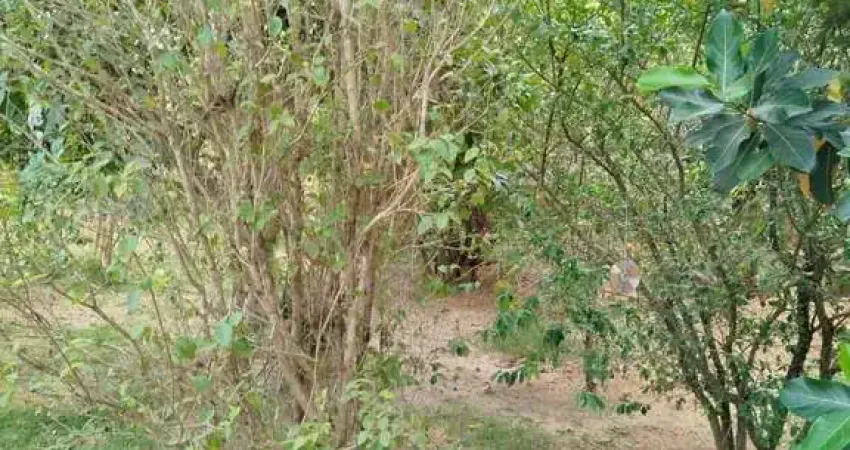 Chácara / sítio à venda na Área Rural de Betim, Betim