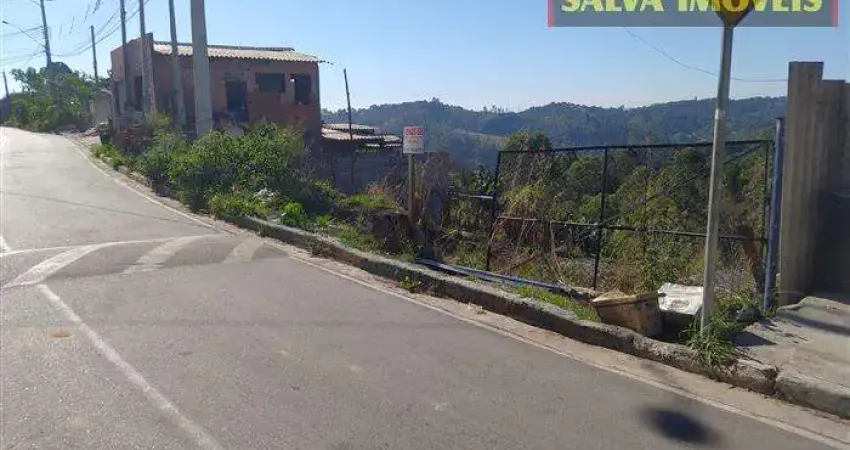 Terreno comercial à venda na Rua Demétrio Leonidas Konidis, 26, Terra Preta, Mairiporã